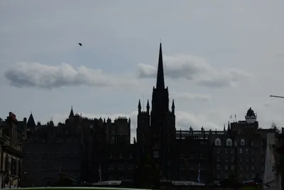 DSC_7387 (Large).JPG